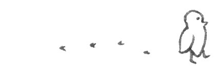 wandering bird ... a little black pen doodle by indigo eli of a little budgie walking along ... its footprints showing behind