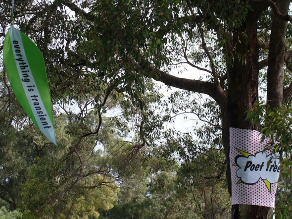 Poet Tree Final 3 800x