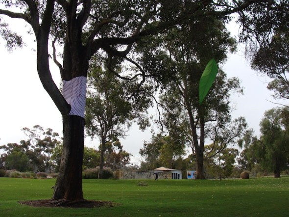 Poet Tree Final 4 800x